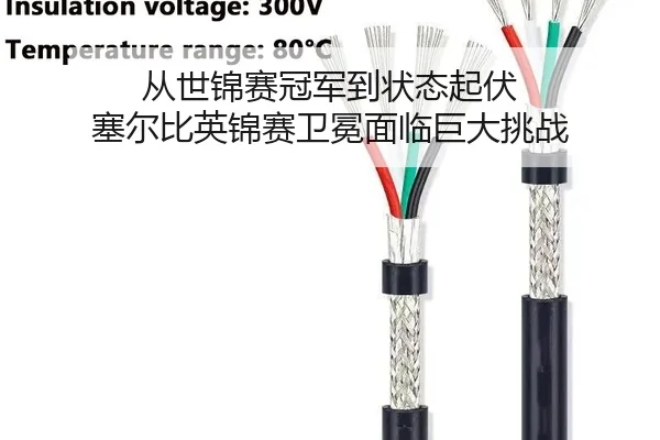 从世锦赛冠军到状态起伏 塞尔比英锦赛卫冕面临巨大挑战